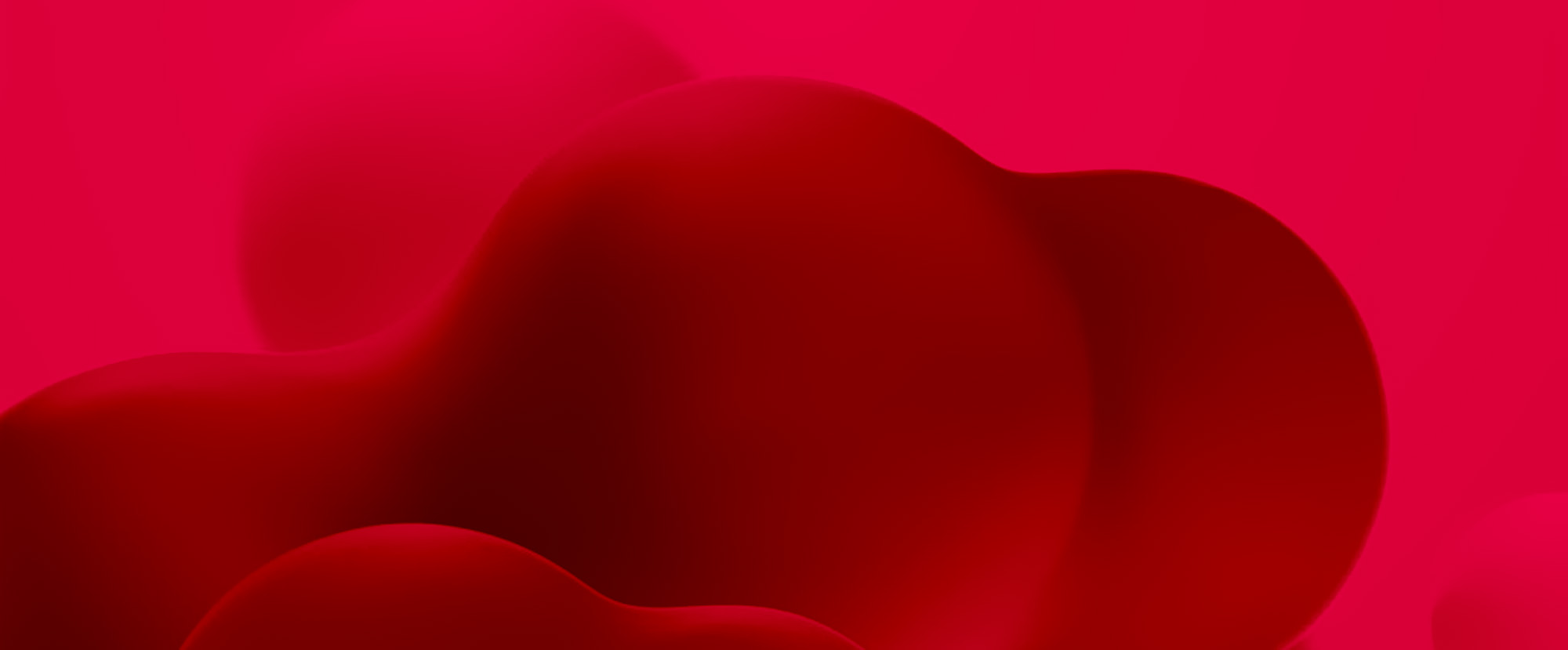 1-24110GI003561.jpg