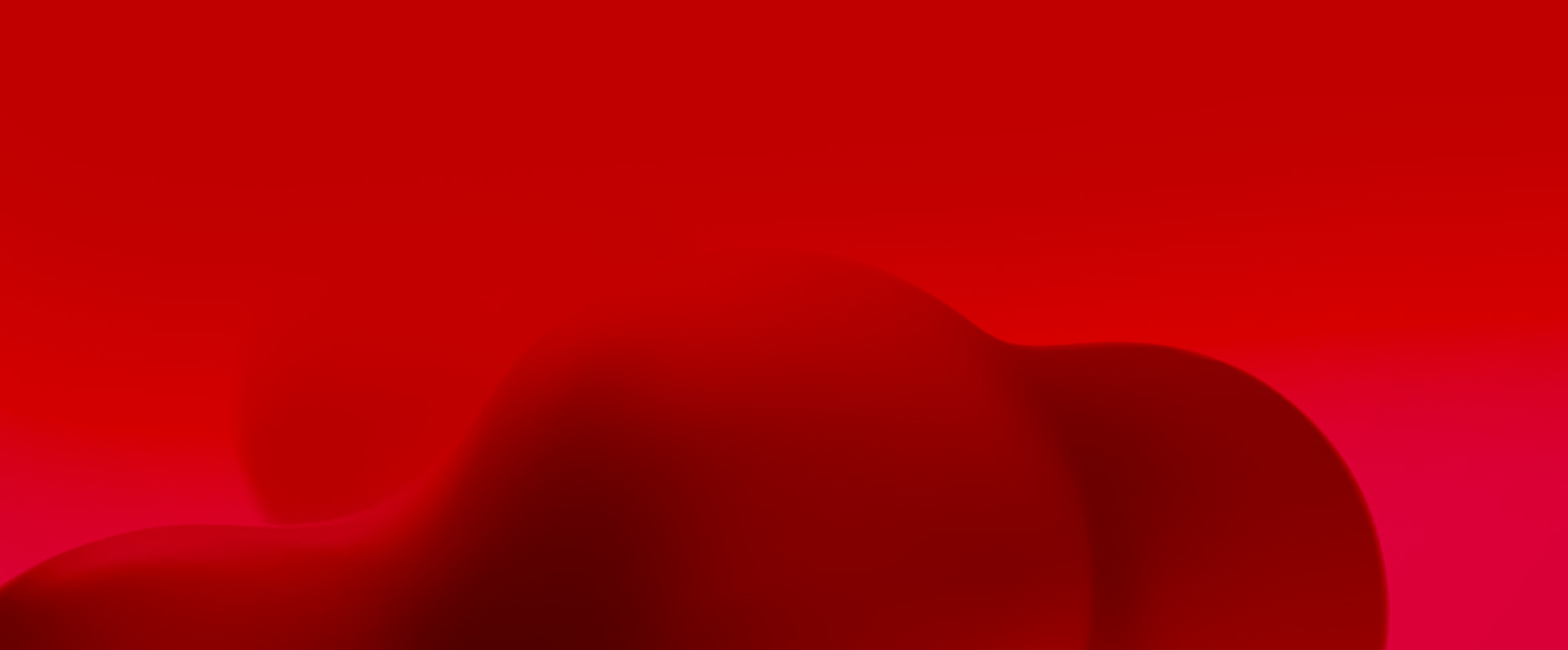 1-24110GI955333.jpg