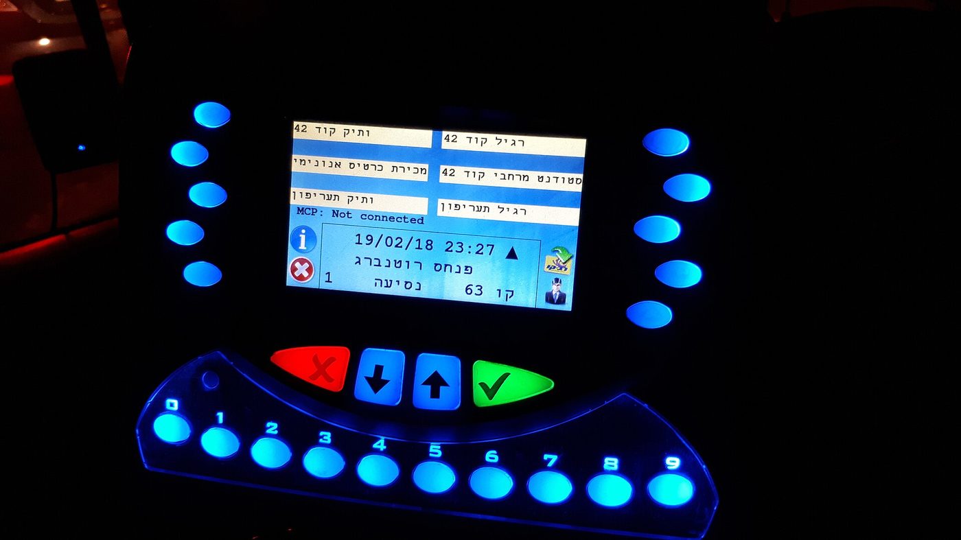 维仆真独立站 POS — 多语言独立站